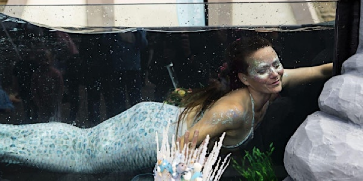 Mermaids 4 week course (adult beginners) | The Diving Centre Boldon