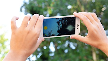 iNaturalist: An Amazing Tool for Identification in your Pocket | The North Carolina Arboretum