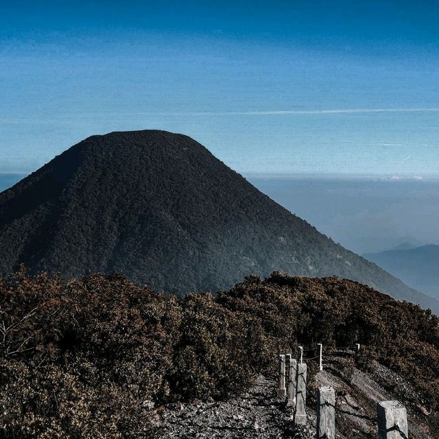 Hiking Mount Gede Pangrango