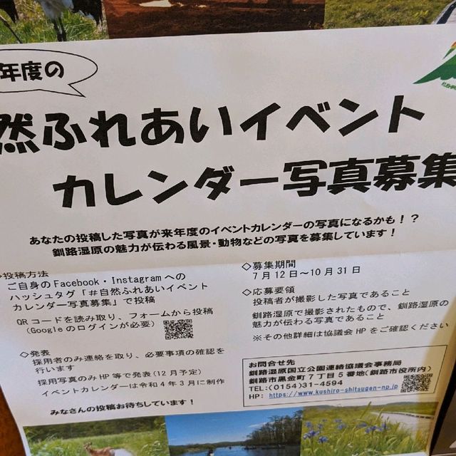 理屈抜きの大自然がそこに。釧路湿原。