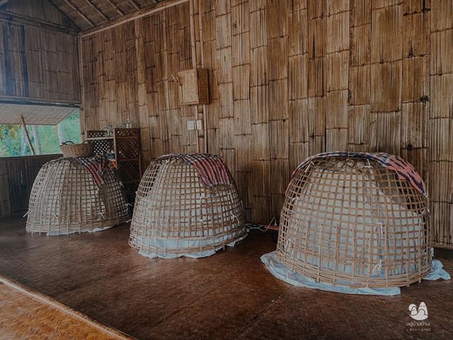 Check in Farmstay Chiangrai 🍃