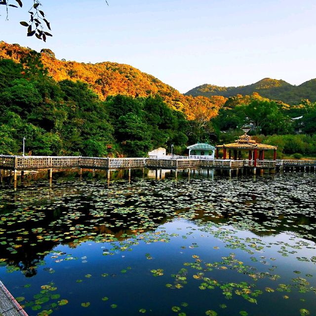 大嶼山龍仔悟園