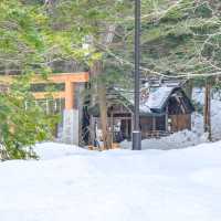 冬の円山公園から北海道神宮にかけて