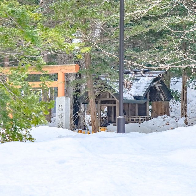 冬の円山公園から北海道神宮にかけて