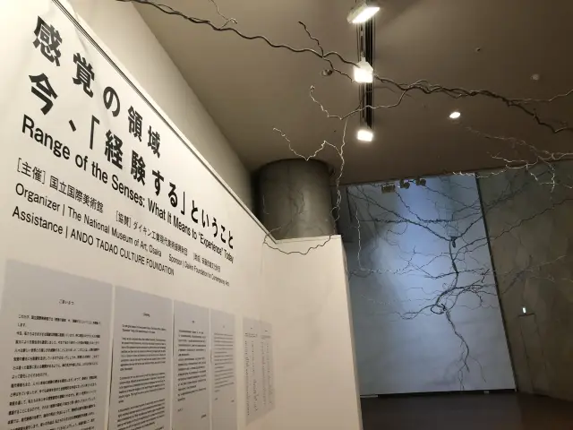 【大阪】国立国際美術館「感覚の領域 今、経験するということ」