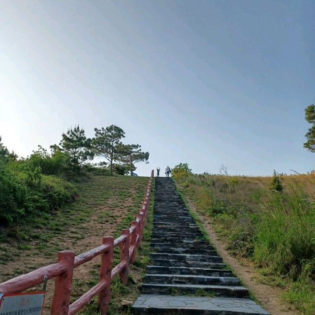 明知山有🐯偏向🐯山行