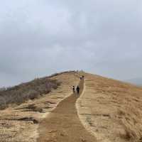 한라산뷰가 멋진 새별오름