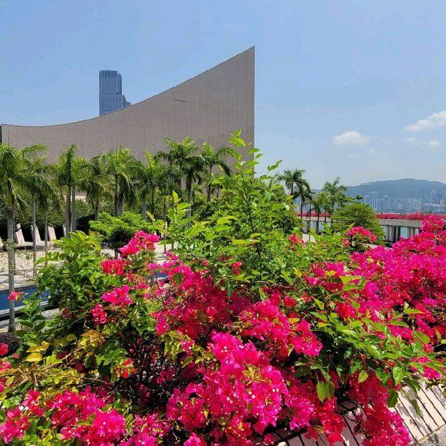 香港好去處 ～ 尖沙咀公眾碼頭海濱區 