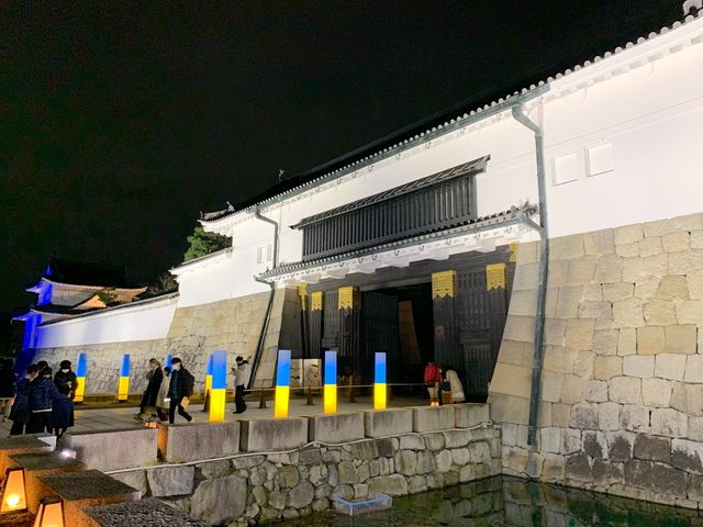京都　SAKURA 桜めぐり❗️二条城のライトアップされた夜桜に感動❗️