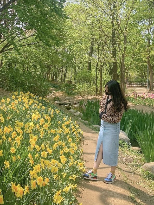 서울숲 봄꽃놀이