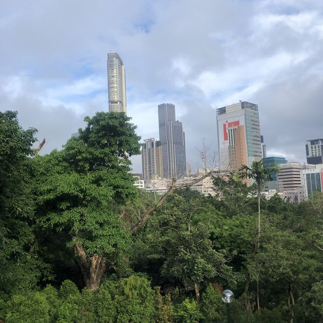 公園都有個打卡瞭望台😎