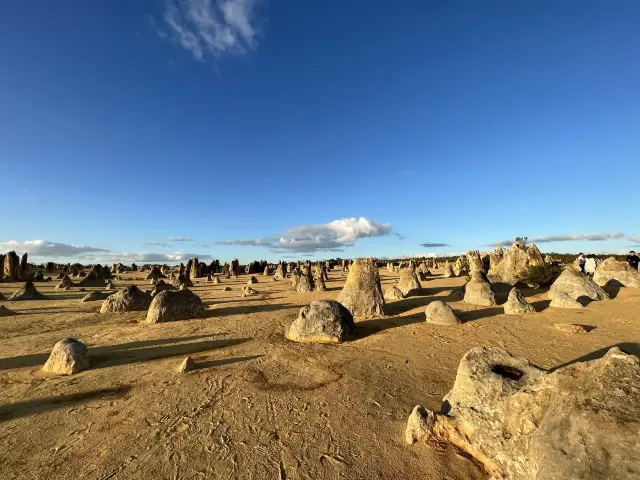 Pinnacles desert sunset ☀️