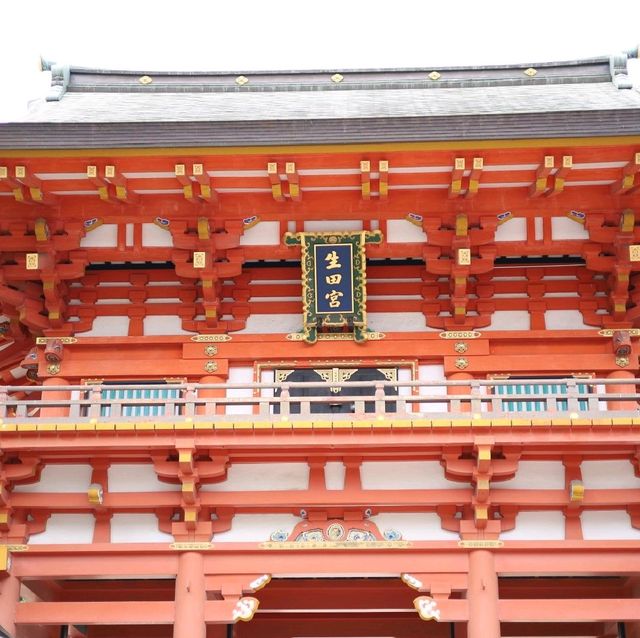 【兵庫県 神戸市】歴史ある生田神社✨✨