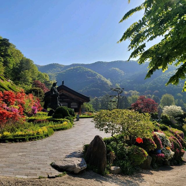 용인 와우정사 여름 속 편안함 찾기 🍀