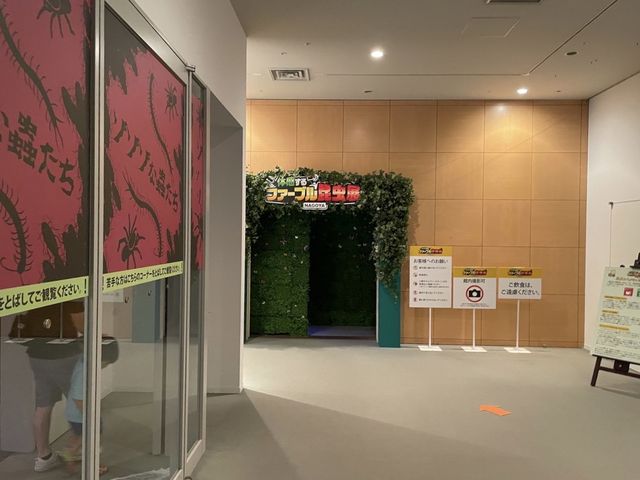 旧ボストン美術館【ファーブル昆虫展】①