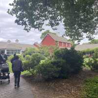 シアトル☆朝のファーマーズマーケットに行ってみました！