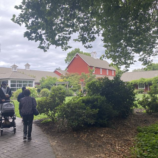 シアトル☆朝のファーマーズマーケットに行ってみました！