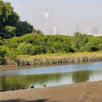 美麗如畫的濕地公園🏞
