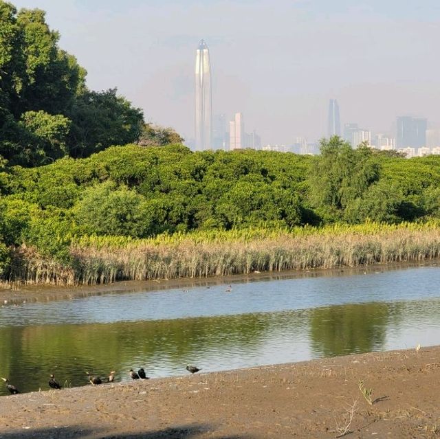 美麗如畫的濕地公園🏞