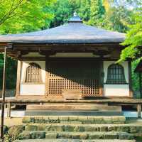 【京都】日本最古の茶園