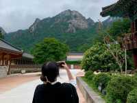 선선한 날씨에 딱 가기 좋은, 속초 설악산 🍃
