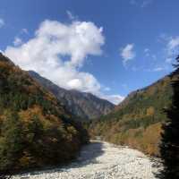 楓葉絕景