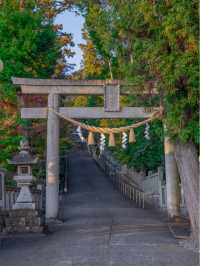 【名古屋】足の神様が祀られているサッカー神社