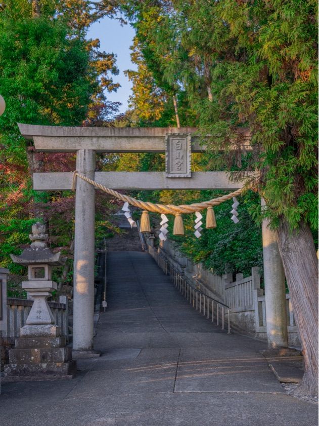 【名古屋】足の神様が祀られているサッカー神社