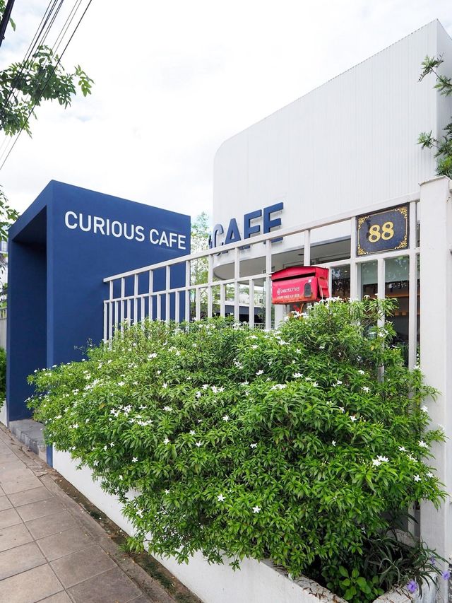 Curious Cafe 