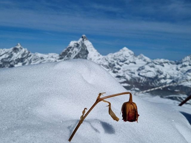 hello Matterhorn 