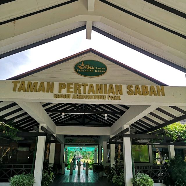 TAMAN PERTANIAN SABAH 