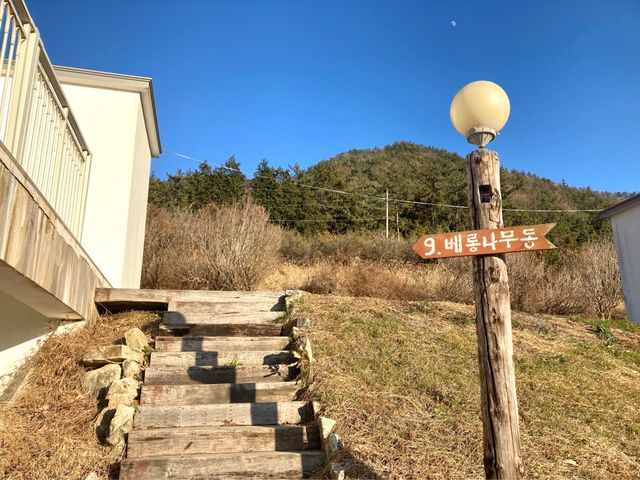 숲속에서 힐링을! 장흥 숙소추천 '정남진 휴랜드 펜션'