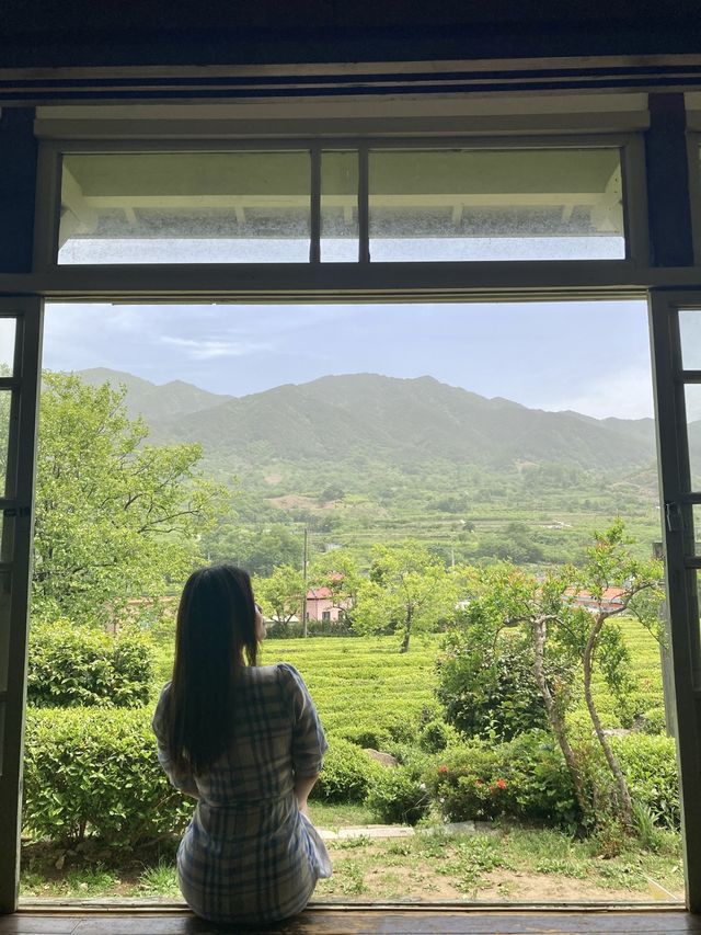 하동녹차의 근본