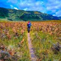 Bromo
