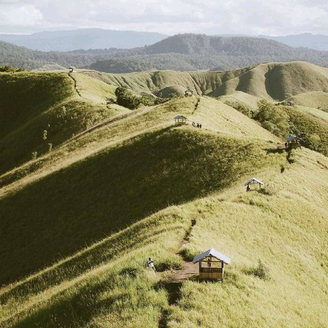 Danau Sentani