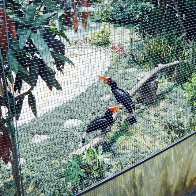 百鳥苑