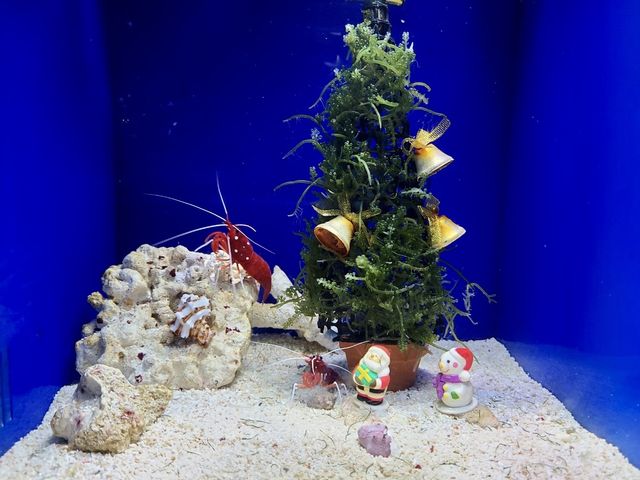 【東京】池袋の水族館！サンシャイン水族館