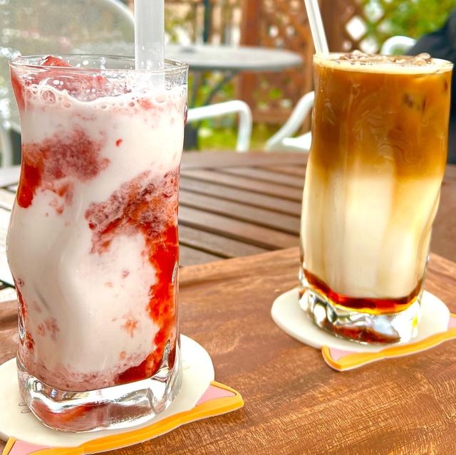 용인 카페 스콘 맛집 파니스 안젤리쿠스