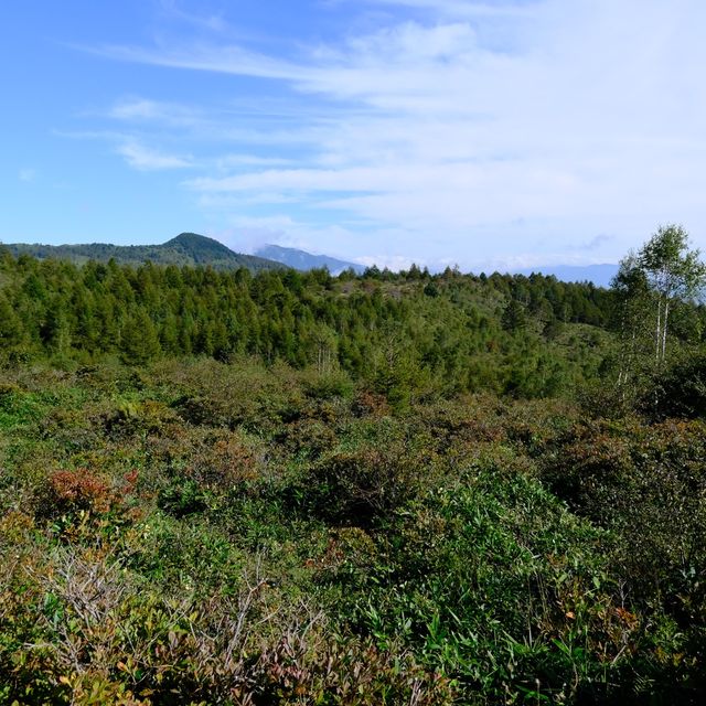 湯の丸山