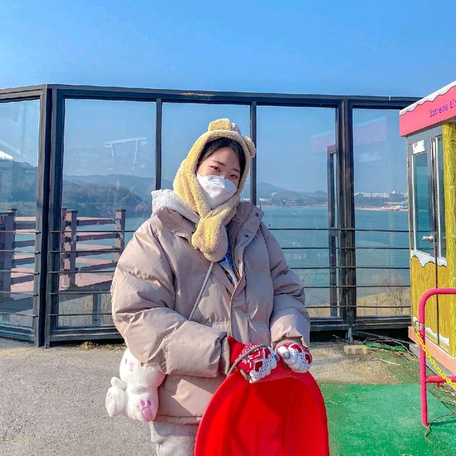 나도 드디어 눈 봤다 ❄ 
