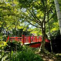 【静岡】ぶらり修善寺温泉散歩の旅🌟