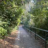 坪洲必行路線