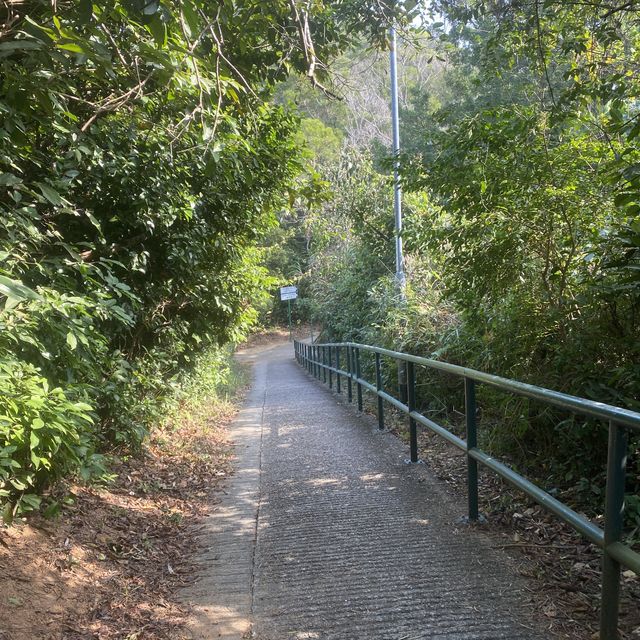 坪洲必行路線