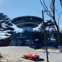어른아이 모두타기 좋은 액티비티, 루지🚘