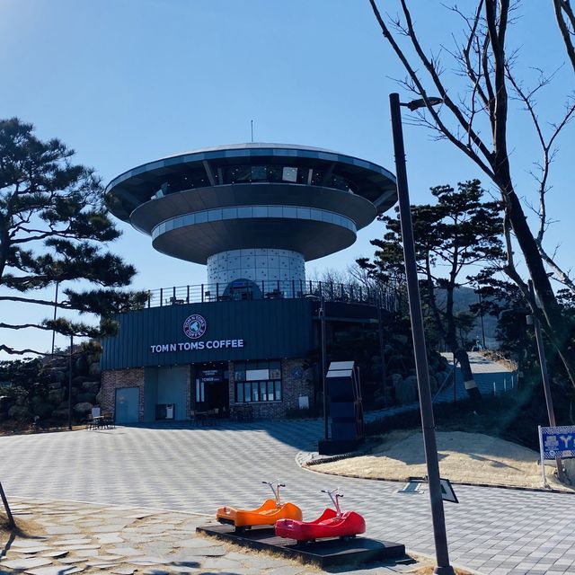 어른아이 모두타기 좋은 액티비티, 루지🚘