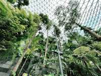 Forest garden trail within Jewel Changi