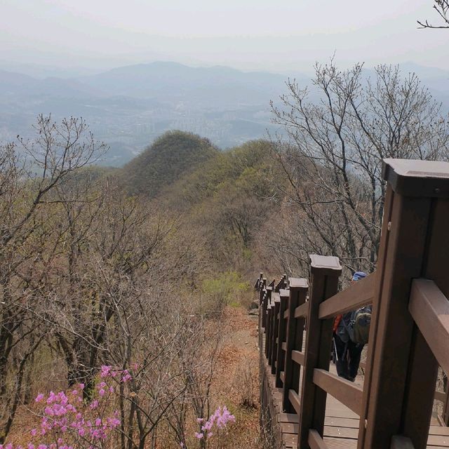 하늘을 만질 수 있는 산, 천마산으로 등산 어떠세요?