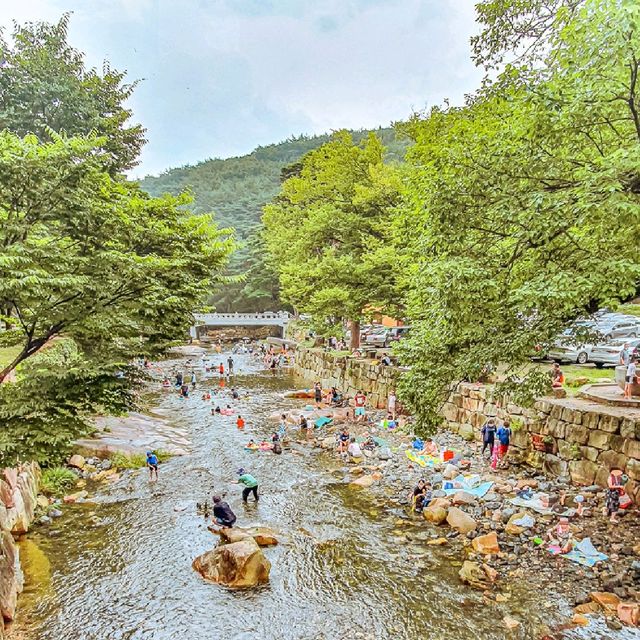 물놀이도 하고 박물관도 보고