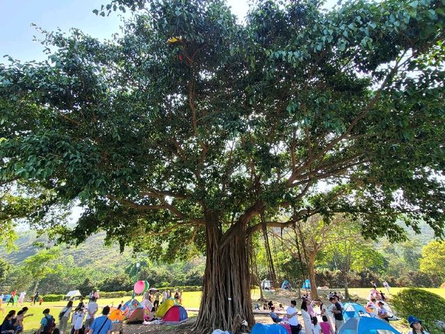 全港最大人工湖🌳⛲🌳