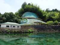 鹿兒島必去打卡仙境｜霧島山麓丸池湧水